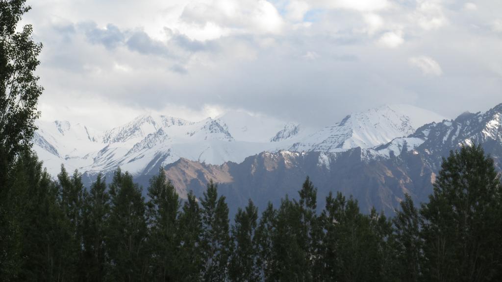 Streamlet Homestay Leh Buitenkant foto