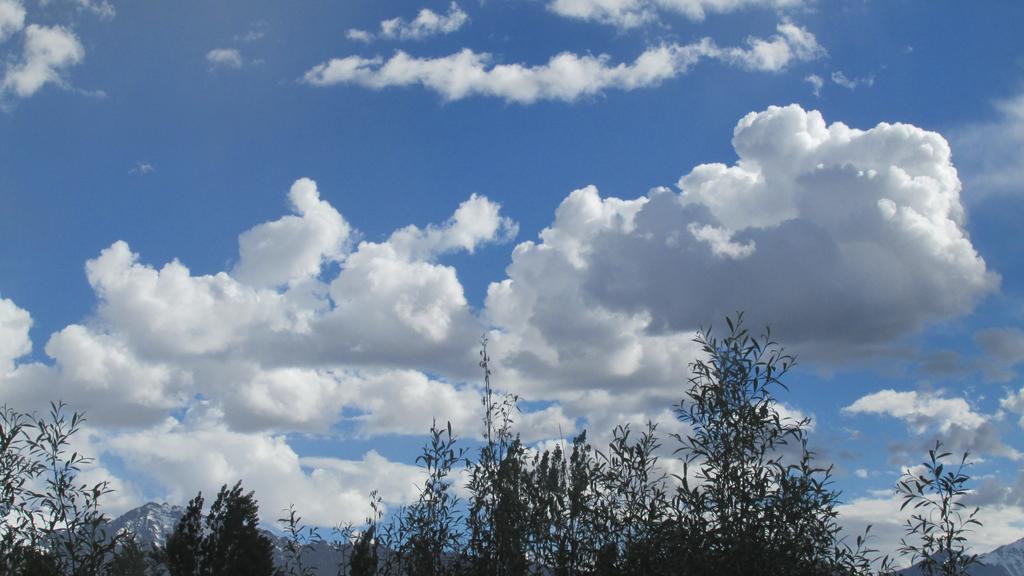 Streamlet Homestay Leh Buitenkant foto